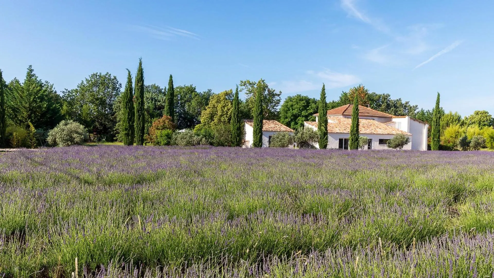 ***** Pensjonat Hotel La Bastide De Damien, 5 Clefs Demeure D'Exception Et Table Remarquable Dans Le Guide Teritoria, Jacuzzi Privatif, Cuisine Etoilee Dominique Frerard Aix-en-Provence Francja