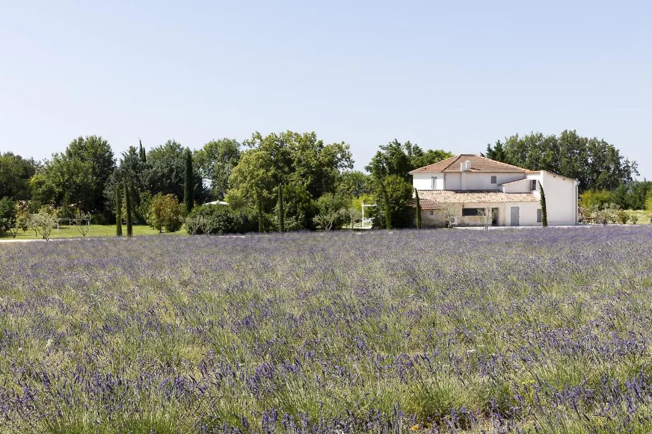 Hotel La Bastide De Damien, 5 Clefs Demeure D'Exception Et Table Remarquable Dans Le Guide Teritoria, Jacuzzi Privatif, Cuisine Etoilee Dominique Frerard Aix-en-Provence Francia
