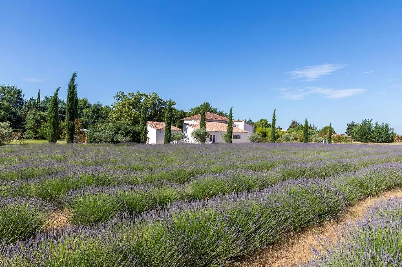 Affittacamere Hotel La Bastide De Damien, 5 Clefs Demeure D'Exception Et Table Remarquable Dans Le Guide Teritoria, Jacuzzi Privatif, Cuisine Etoilee Dominique Frerard Aix-en-Provence