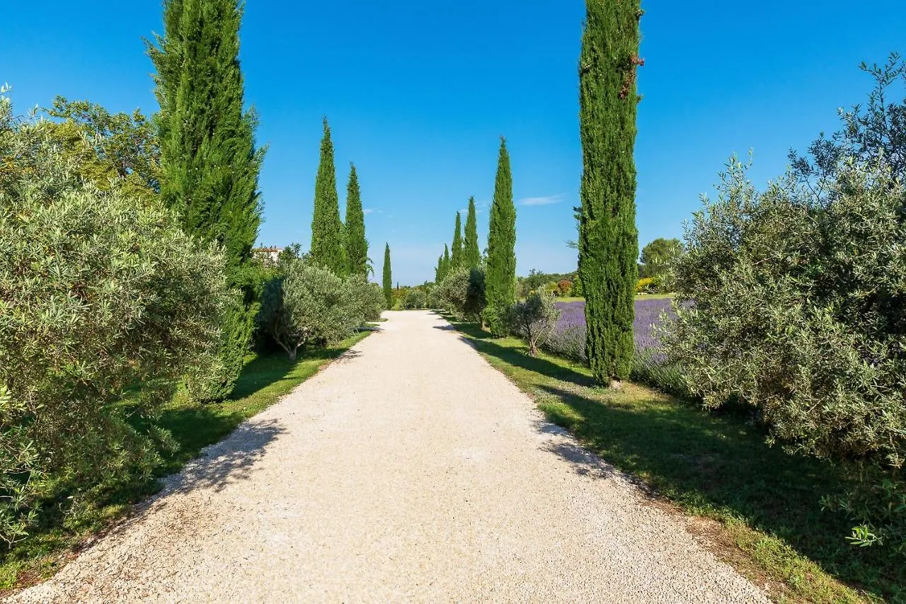 Hotel La Bastide De Damien, 5 Clefs Demeure D'Exception Et Table Remarquable Dans Le Guide Teritoria, Jacuzzi Privatif, Cuisine Etoilee Dominique Frerard Aix-en-Provence Francia