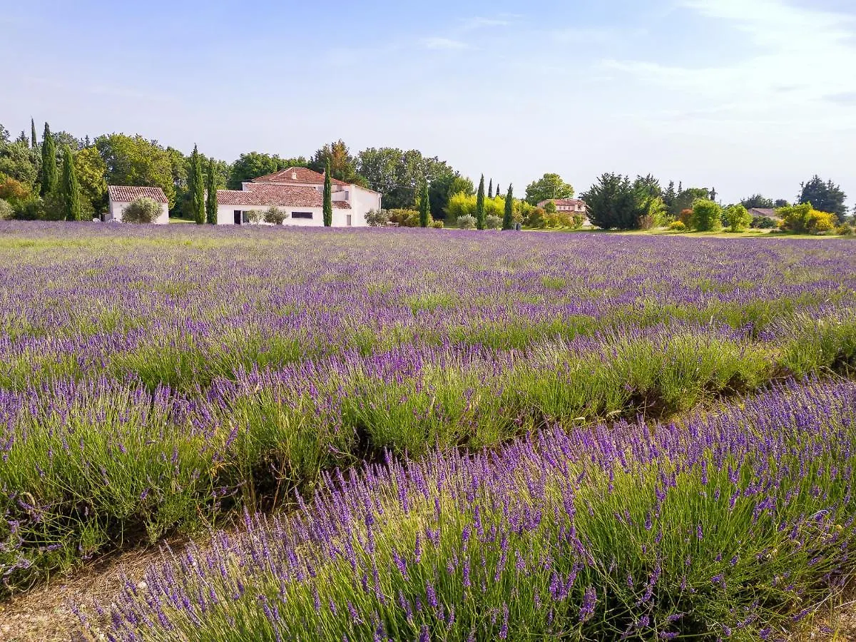 ***** Affittacamere Hotel La Bastide De Damien, 5 Clefs Demeure D'Exception Et Table Remarquable Dans Le Guide Teritoria, Jacuzzi Privatif, Cuisine Etoilee Dominique Frerard Aix-en-Provence Francia