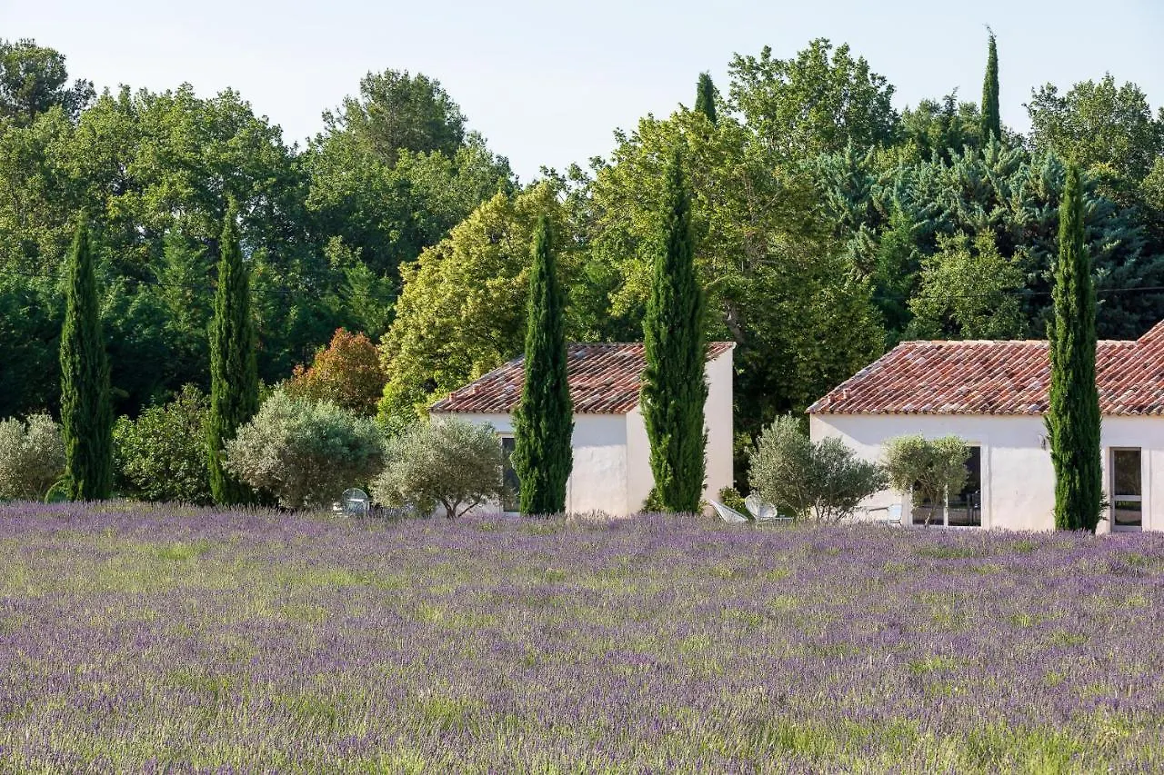 Affittacamere Hotel La Bastide De Damien, 5 Clefs Demeure D'Exception Et Table Remarquable Dans Le Guide Teritoria, Jacuzzi Privatif, Cuisine Etoilee Dominique Frerard Aix-en-Provence