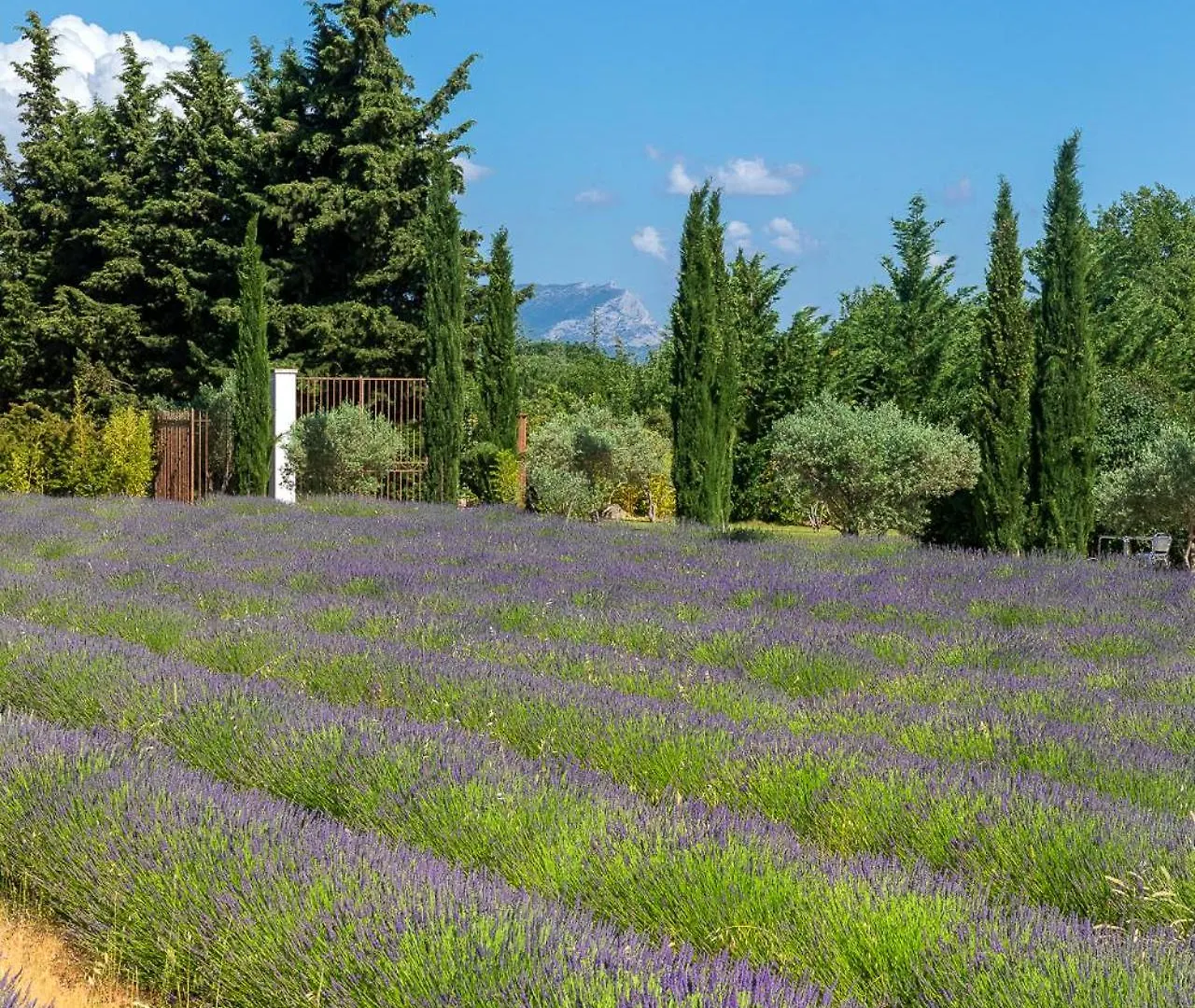 Hotel La Bastide De Damien, 5 Clefs Demeure D'Exception Et Table Remarquable Dans Le Guide Teritoria, Jacuzzi Privatif, Cuisine Etoilee Dominique Frerard Aix-en-Provence Affittacamere