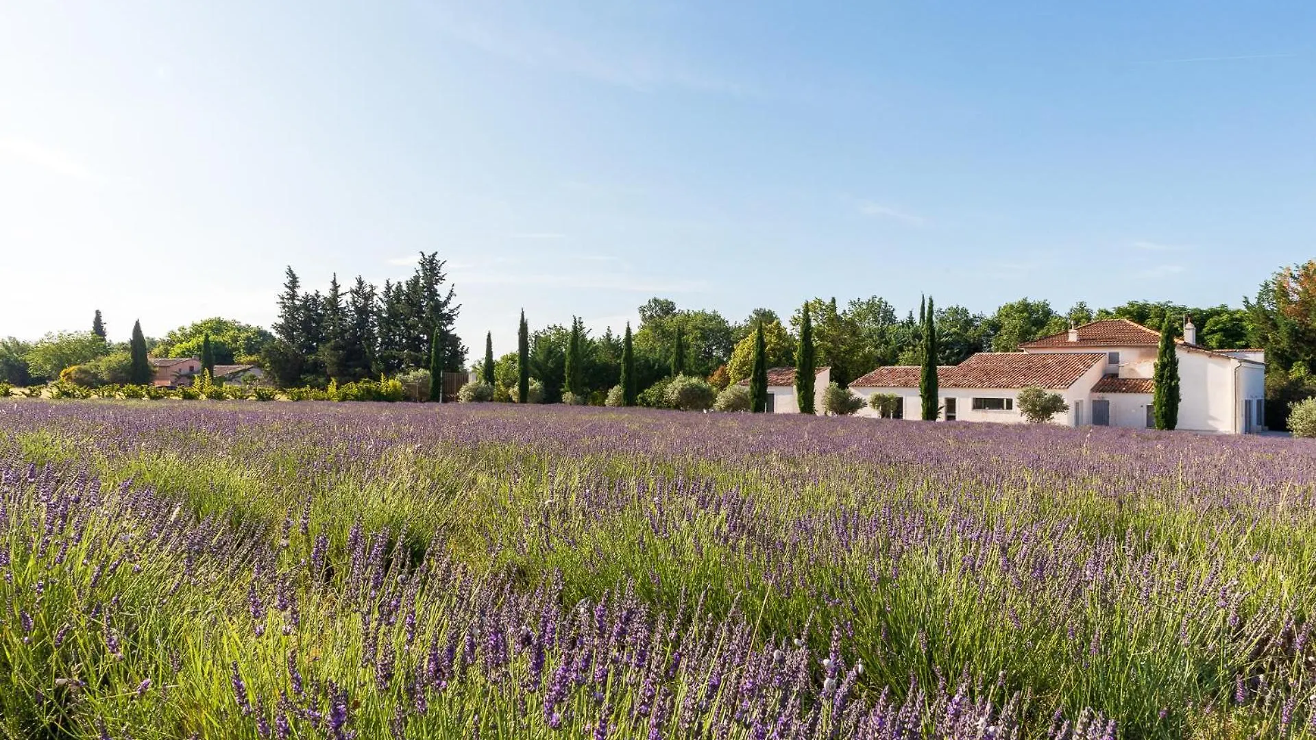 Hotel La Bastide De Damien, 5 Clefs Demeure D'Exception Et Table Remarquable Dans Le Guide Teritoria, Jacuzzi Privatif, Cuisine Etoilee Dominique Frerard Aix-en-Provence Affittacamere