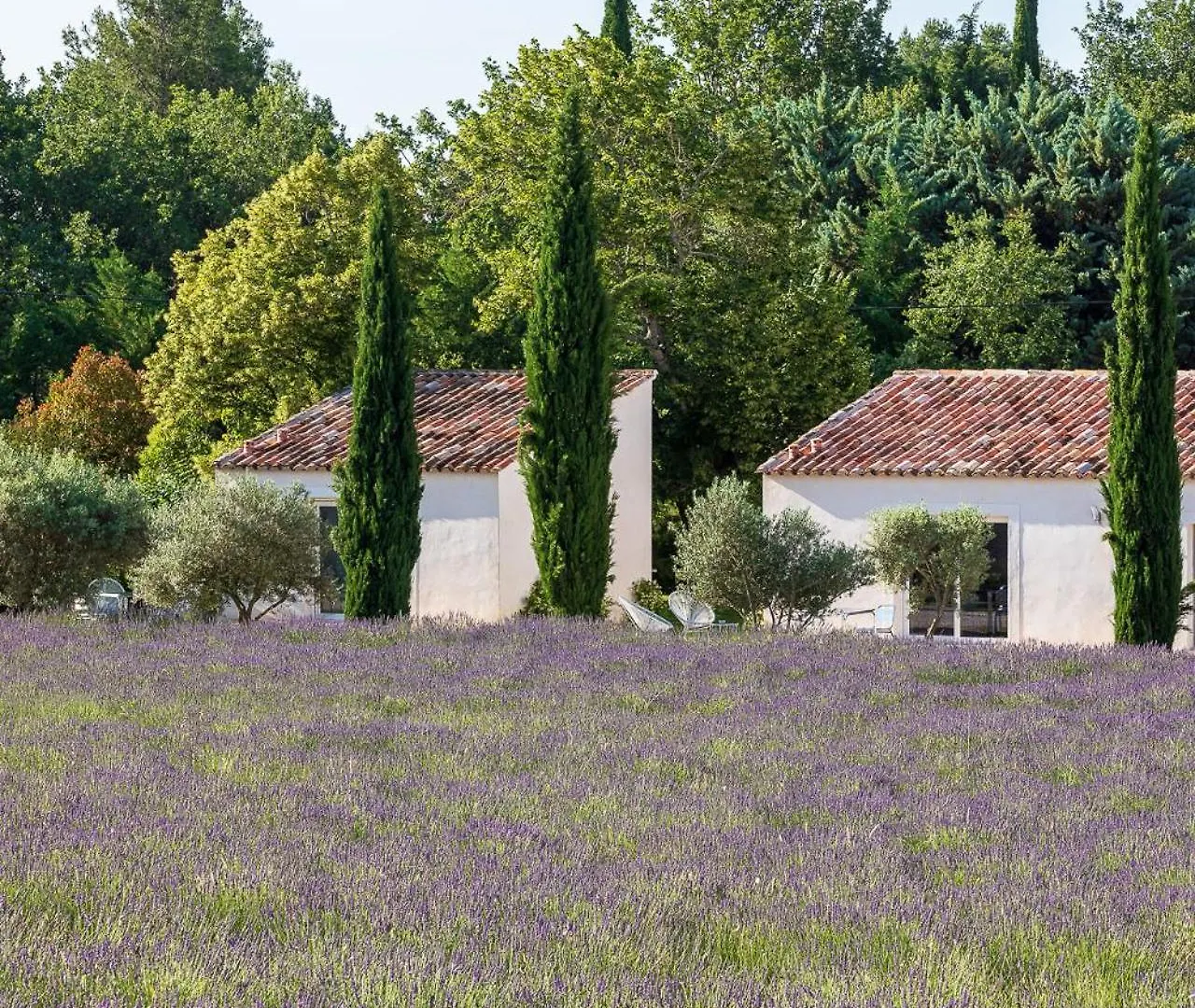 Hotel La Bastide De Damien, 5 Clefs Demeure D'Exception Et Table Remarquable Dans Le Guide Teritoria, Jacuzzi Privatif, Cuisine Etoilee Dominique Frerard Aix-en-Provence 5*,