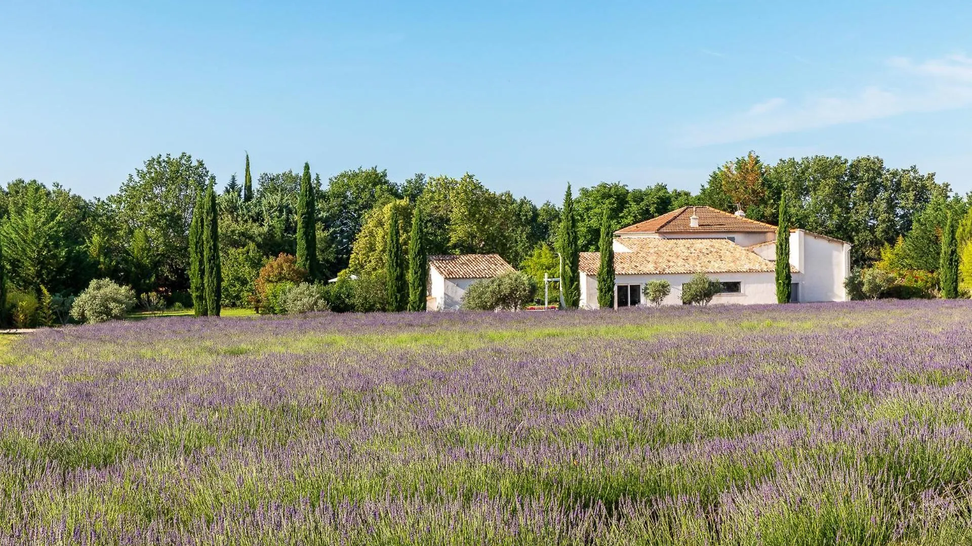 Hotel La Bastide De Damien, 5 Clefs Demeure D'Exception Et Table Remarquable Dans Le Guide Teritoria, Jacuzzi Privatif, Cuisine Etoilee Dominique Frerard Aix-en-Provence