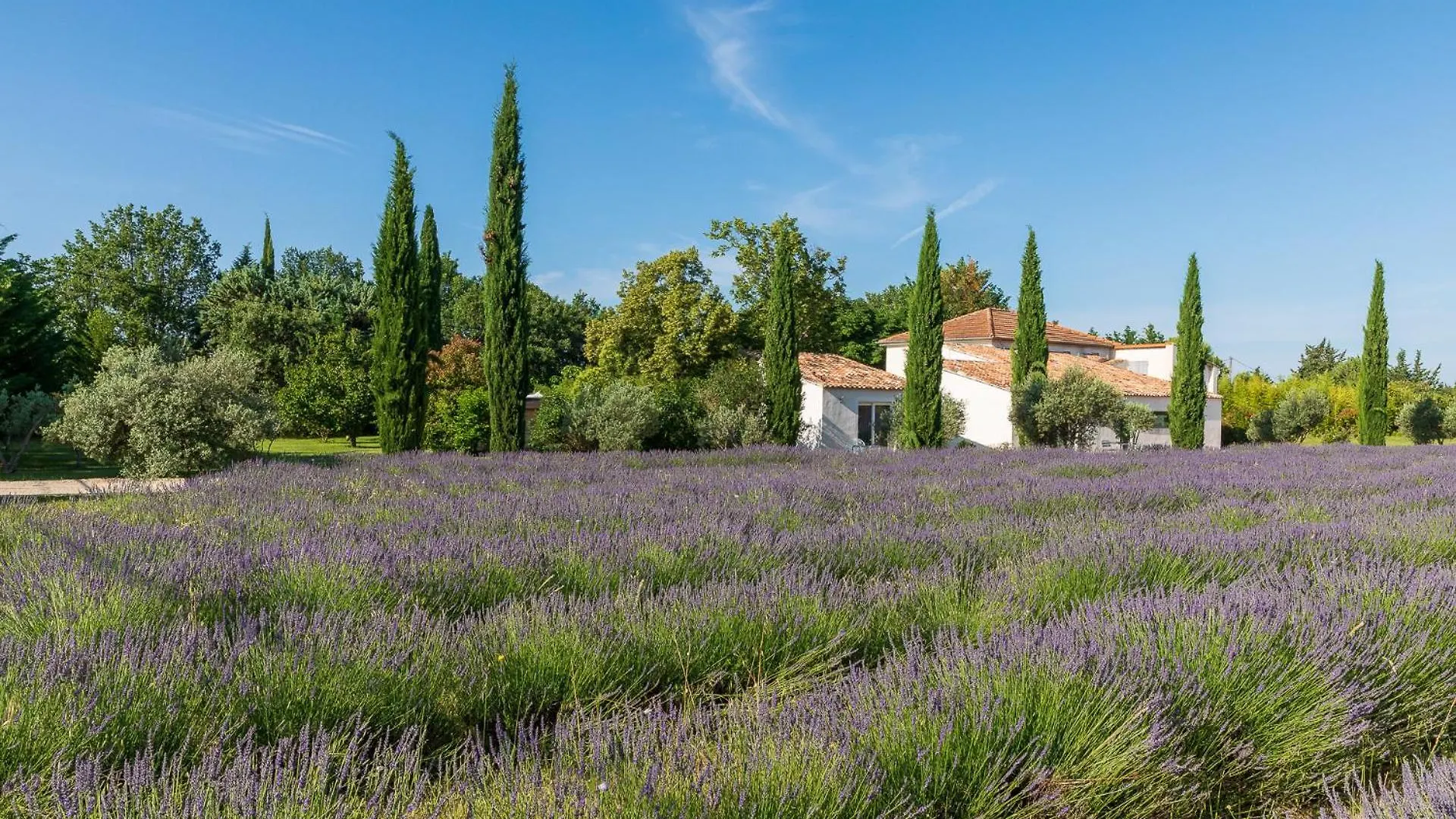 Affittacamere Hotel La Bastide De Damien, 5 Clefs Demeure D'Exception Et Table Remarquable Dans Le Guide Teritoria, Jacuzzi Privatif, Cuisine Etoilee Dominique Frerard Aix-en-Provence