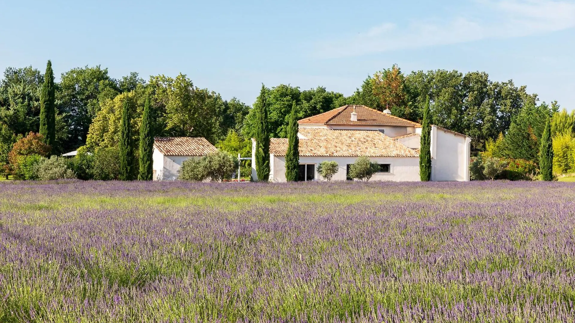 Hotel La Bastide De Damien, 5 Clefs Demeure D'Exception Et Table Remarquable Dans Le Guide Teritoria, Jacuzzi Privatif, Cuisine Etoilee Dominique Frerard Aix-en-Provence
