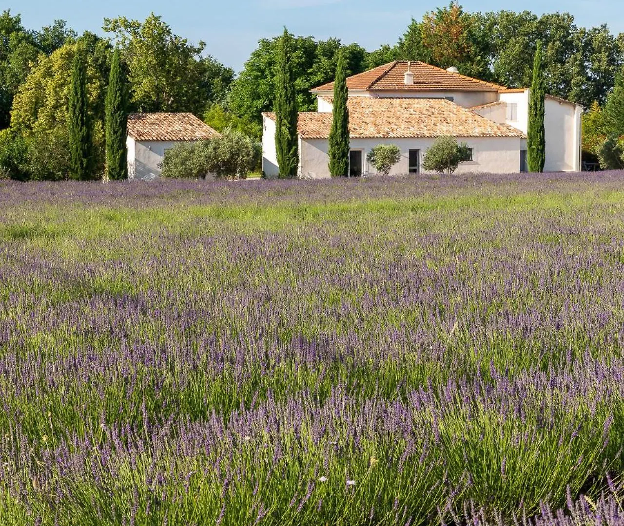 Hotel La Bastide De Damien, 5 Clefs Demeure D'Exception Et Table Remarquable Dans Le Guide Teritoria, Jacuzzi Privatif, Cuisine Etoilee Dominique Frerard Aix-en-Provence Affittacamere